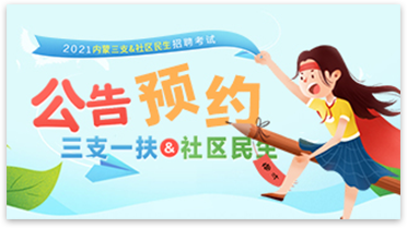 公告预约